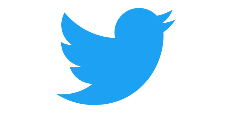 Twitter Logo Color