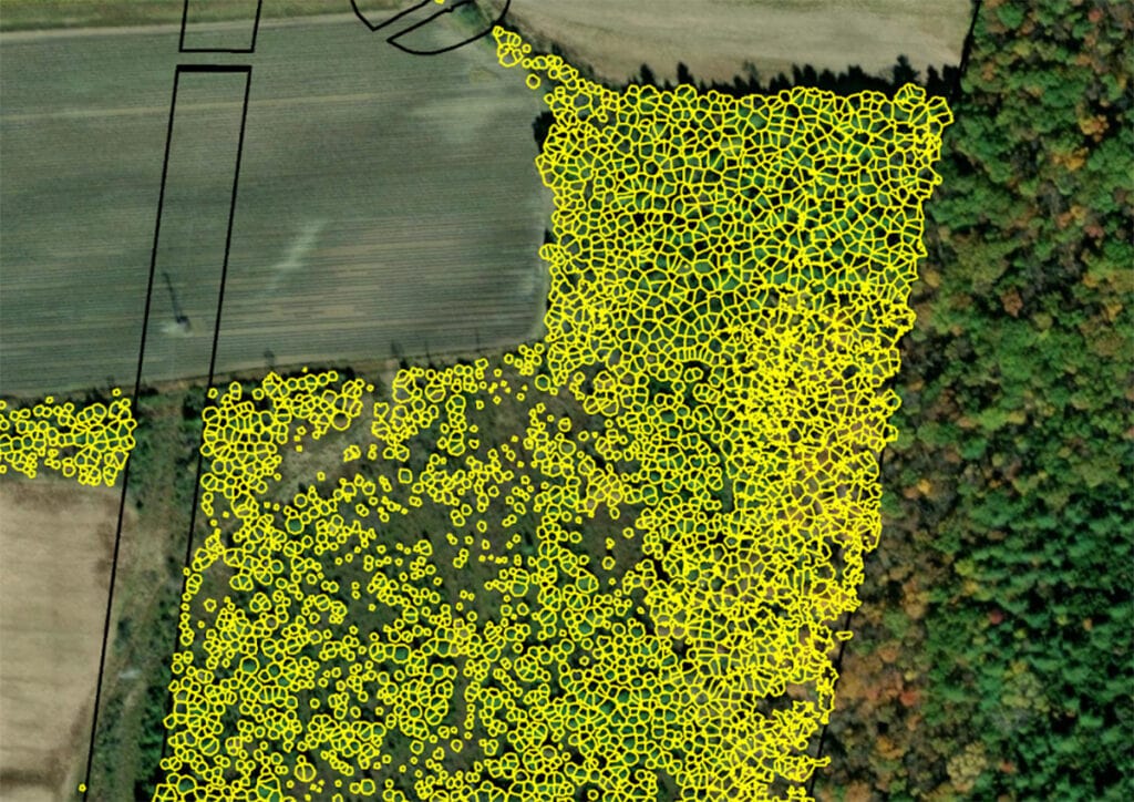 Teren software analytics showing identified trees for clearing