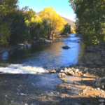 River debris