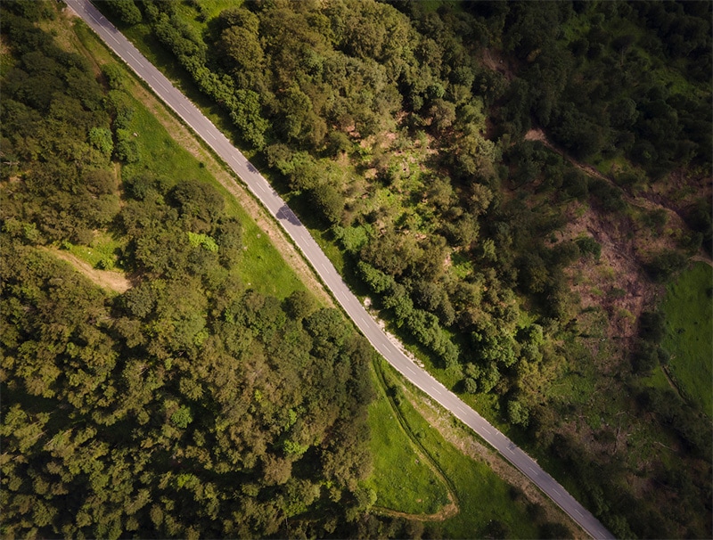 Digital Surface Model birds eye view of a winding road through forested hills