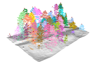 Vegetation Unit Analysis