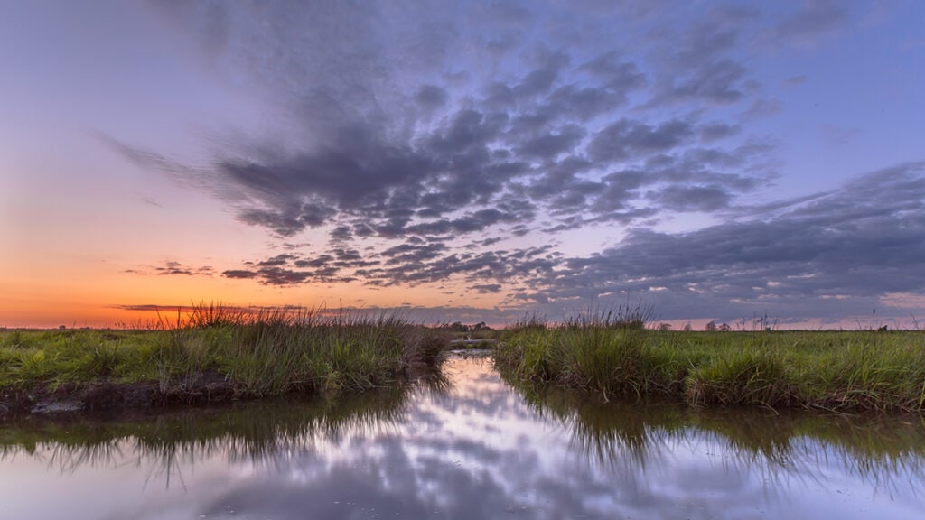 watershed-management-web