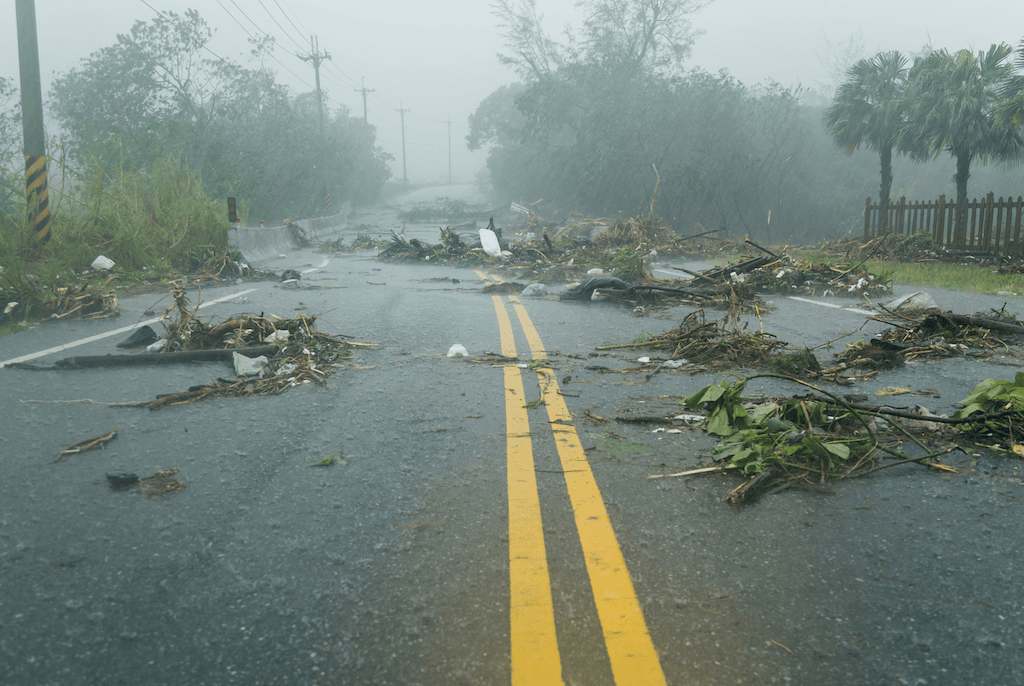 Hurricane Damage