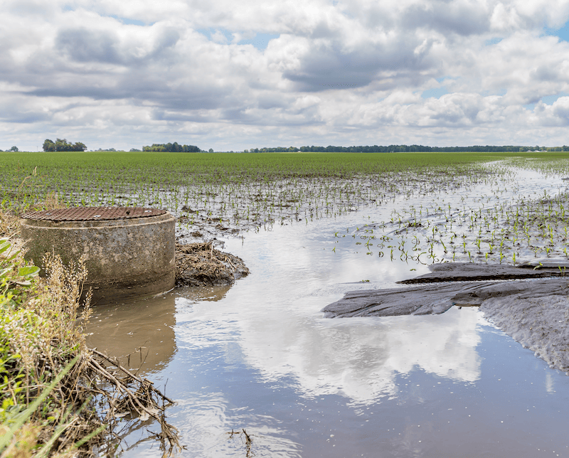 Flooding in the Midwest